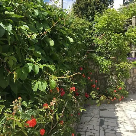 Apartment Little Olive Rijeka